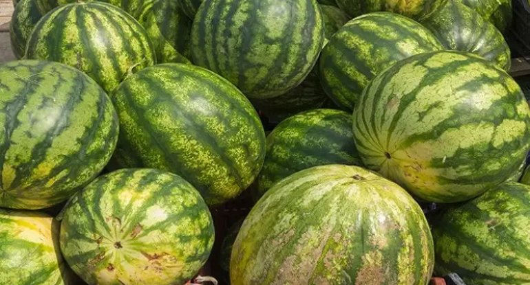 Second slide